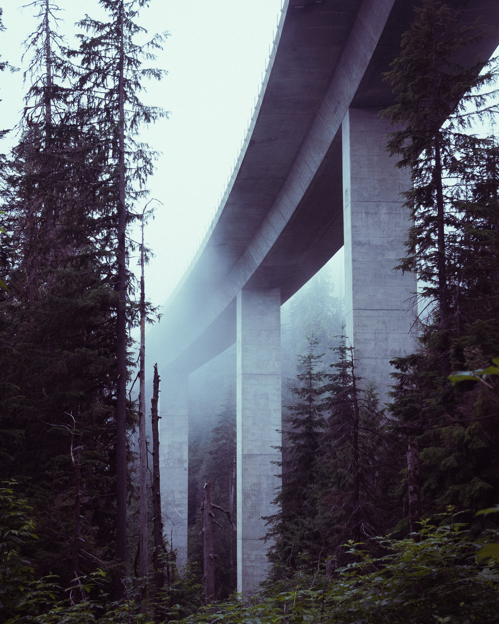 A concrete overpass emerging through Pacific Northwest fog and forest